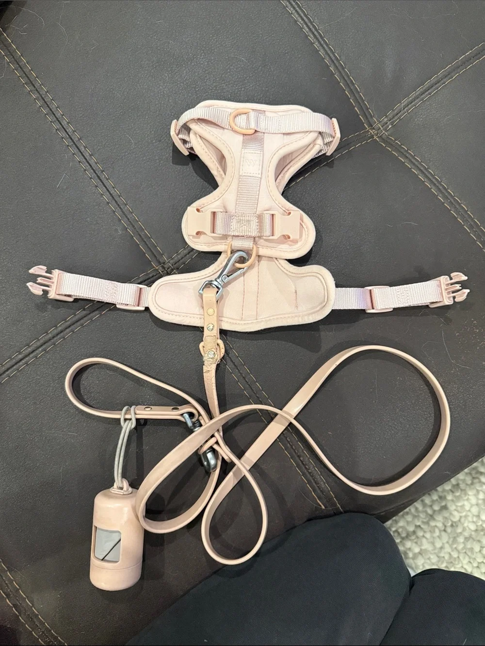 Wild One Pink Small Dog Harness, Leash, and Poop bag holder